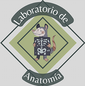 Logo Laboratorio de Anatomía